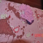 Raped and stabbed female