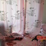 Raped and stabbed female