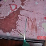 Raped and stabbed female