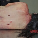 Raped and stabbed female