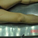 Raped and stabbed female