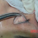 Raped and stabbed female