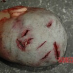 Raped and murdered girl