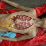 Raped and murdered girl