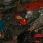 Raped and murdered girl