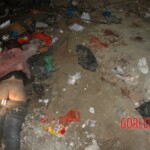 Raped and murdered girl