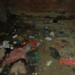 Raped and murdered girl