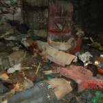 Raped and murdered girl