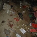 Raped and murdered girl