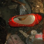 Raped and murdered girl