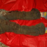 Raped and murdered girl