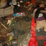 Raped and murdered girl