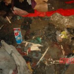 Raped and murdered girl