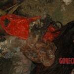 Raped and murdered girl