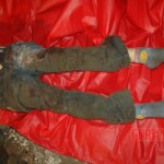 Raped and murdered girl