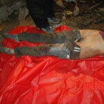 Raped and murdered girl