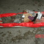 Raped and murdered girl