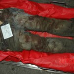 Raped and murdered girl