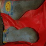 Raped and murdered girl