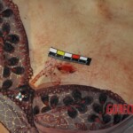 Murdered Chinese girl