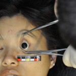 Murdered Chinese girl