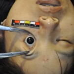 Murdered Chinese girl