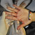 Murdered Chinese girl