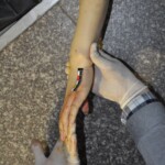 Murdered Chinese girl