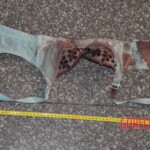 Murdered Chinese girl