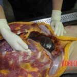 Examination of dead Chinese woman