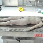 Drowned Chinese girl