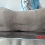 Drowned Chinese girl