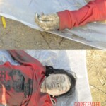 Drowned Chinese girl