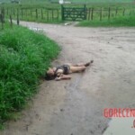 Maria Josileide do Nascimento