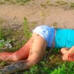 Tamires Camilo de Oliveira