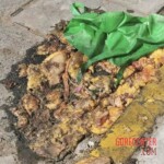 Ingrid Escamilla Vargas