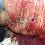 Maria Alice de Sousa