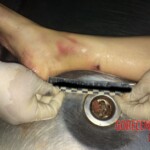 Russian girl suicide