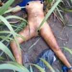 Bárbara Ribeiro dos Santos