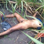 Bárbara Ribeiro dos Santos