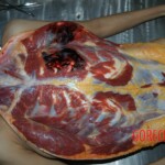 Raped and murdered chick