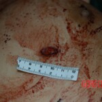 Raped and murdered chick