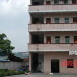 Raped young woman chooses suicide