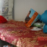 Raped young woman chooses suicide