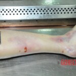 Dead woman with tored pussy