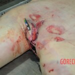 Dead woman with tored pussy