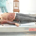 Stabbed Chinese girl in morgue