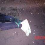 Three executed friends