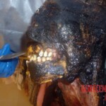 Two dead bodies found in abandoned building