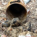 Two dead bodies found in abandoned building